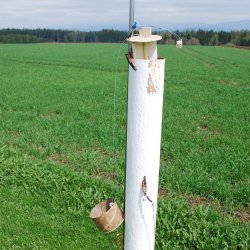 2013 Svojek Karel Jeřábek